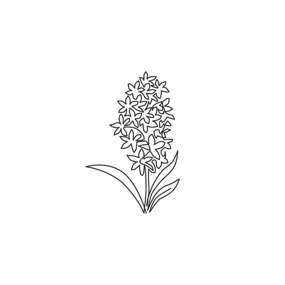 een doorlopende lijntekening van schoonheid verse hyacinthus voor thuis muur decor poster art print. decoratief hyacintbloemconcept voor wenskaartornament. enkele lijn tekenen ontwerp vectorillustratie vector
