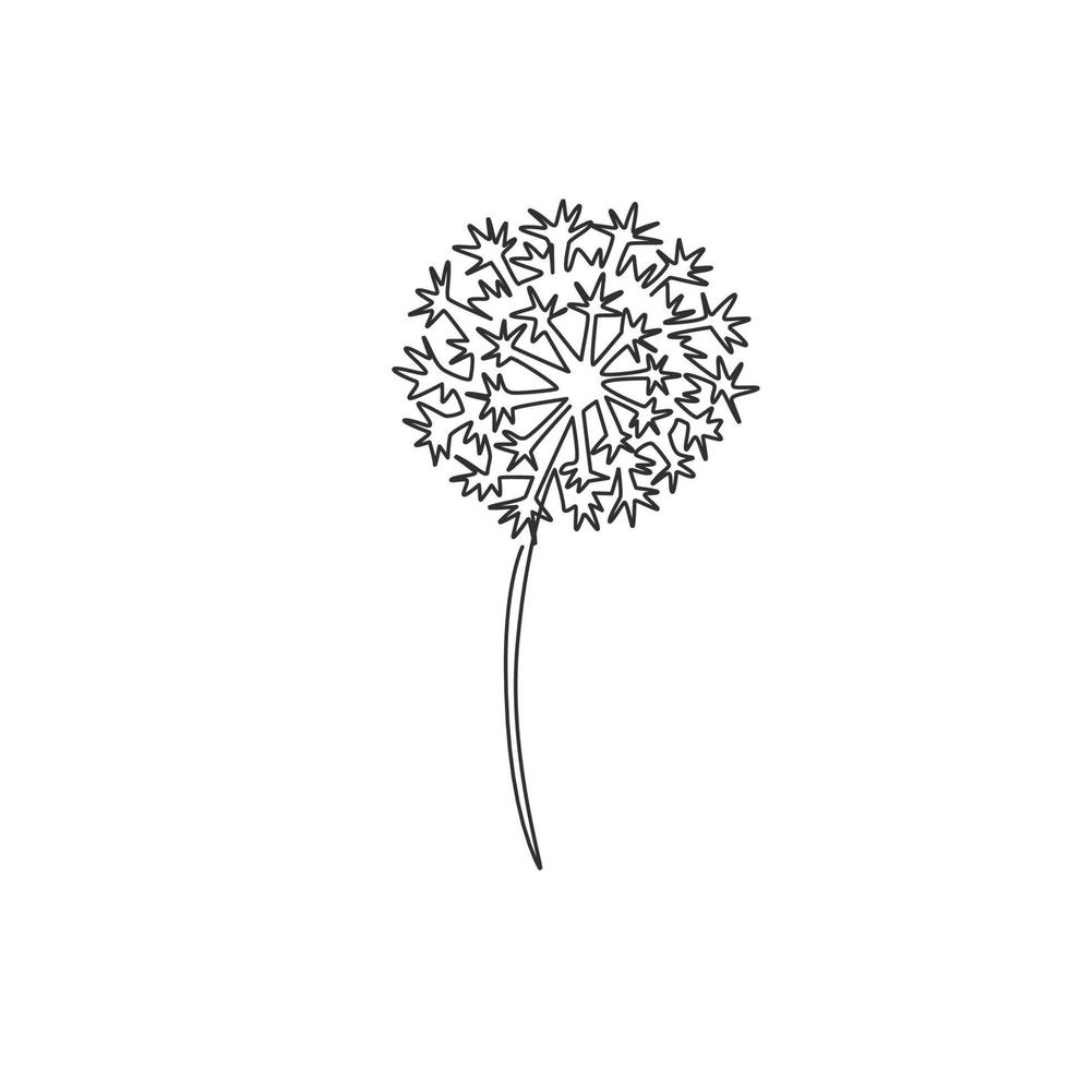 enkele doorlopende lijntekening schoonheid verse taraxacum voor thuis muur decor art poster print. afdrukbare decoratieve paardebloembloem voor uitnodigingskaart. moderne één lijn tekenen ontwerp vectorillustratie vector