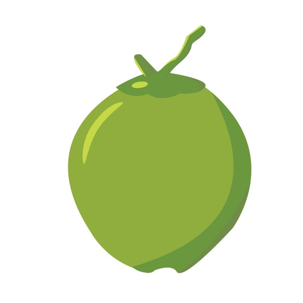 kokosnoot fruit isoleren Aan wit achtergrond voor grafisch ontwerp, logo, web plaats, sociaal media, mobiel app, ui illustratie vector