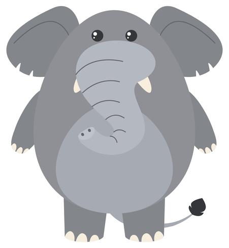 Grijze olifant op witte achtergrond vector