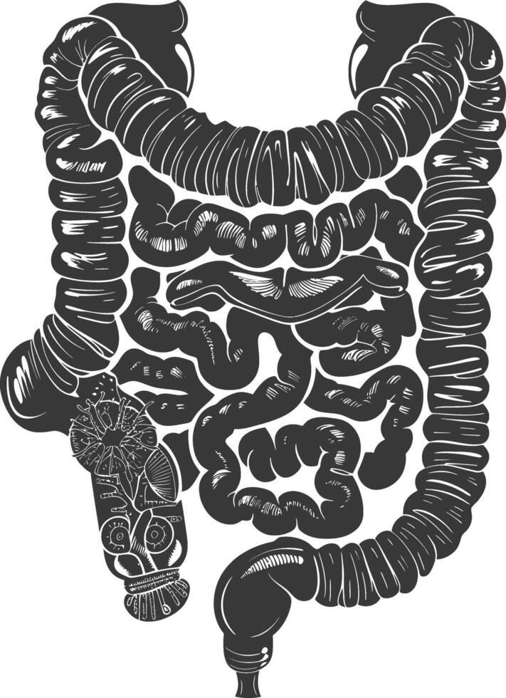silhouet menselijk darm zwart kleur enkel en alleen vector