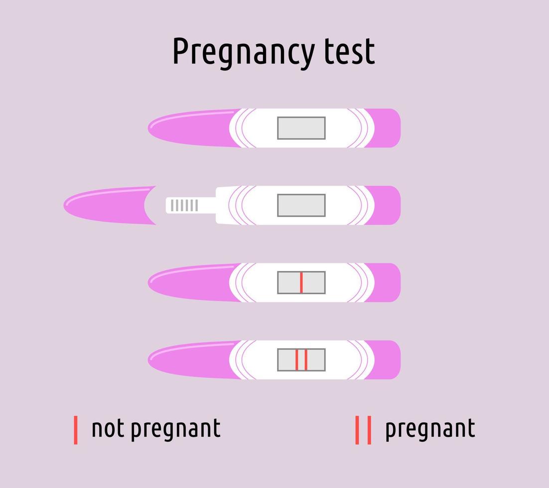zwangerschapstest geïsoleerde set. negatieve en positieve resultaten. tests met één en twee strepen, zwanger en niet, geopend en gesloten. vector platte object illustraties collectie