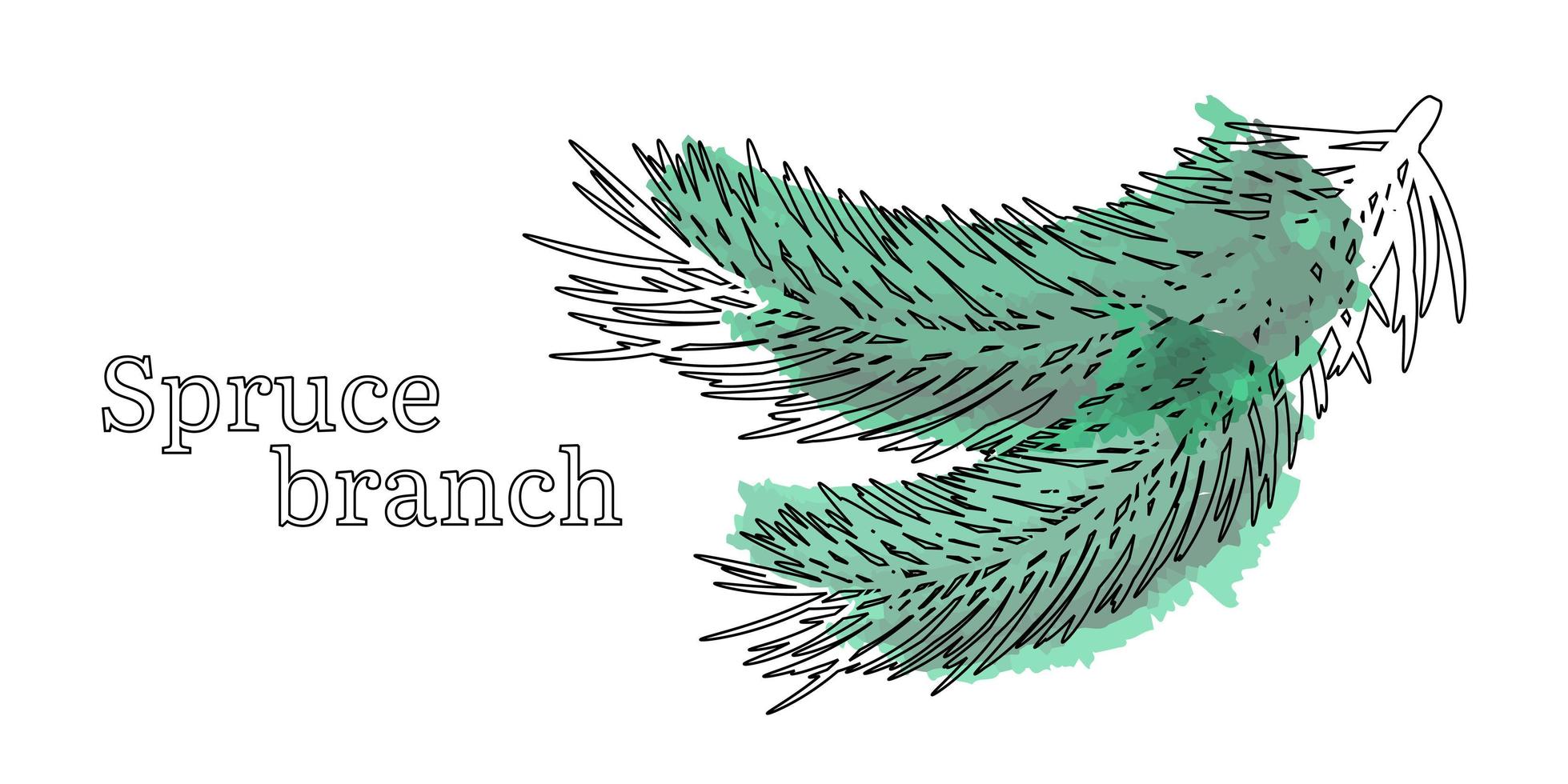 geïsoleerde naaldtakjes. contour van dennen- of sparren takken met groene aquarel vlek op witte achtergrond. vectorillustratie. vector