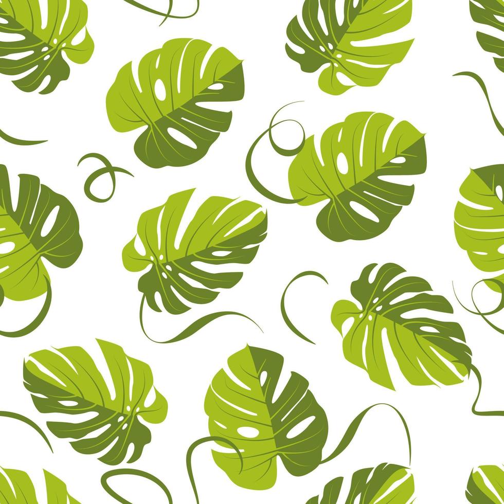 monstera blad patroon, palm blad naadloze achtergrond. vector illustratie