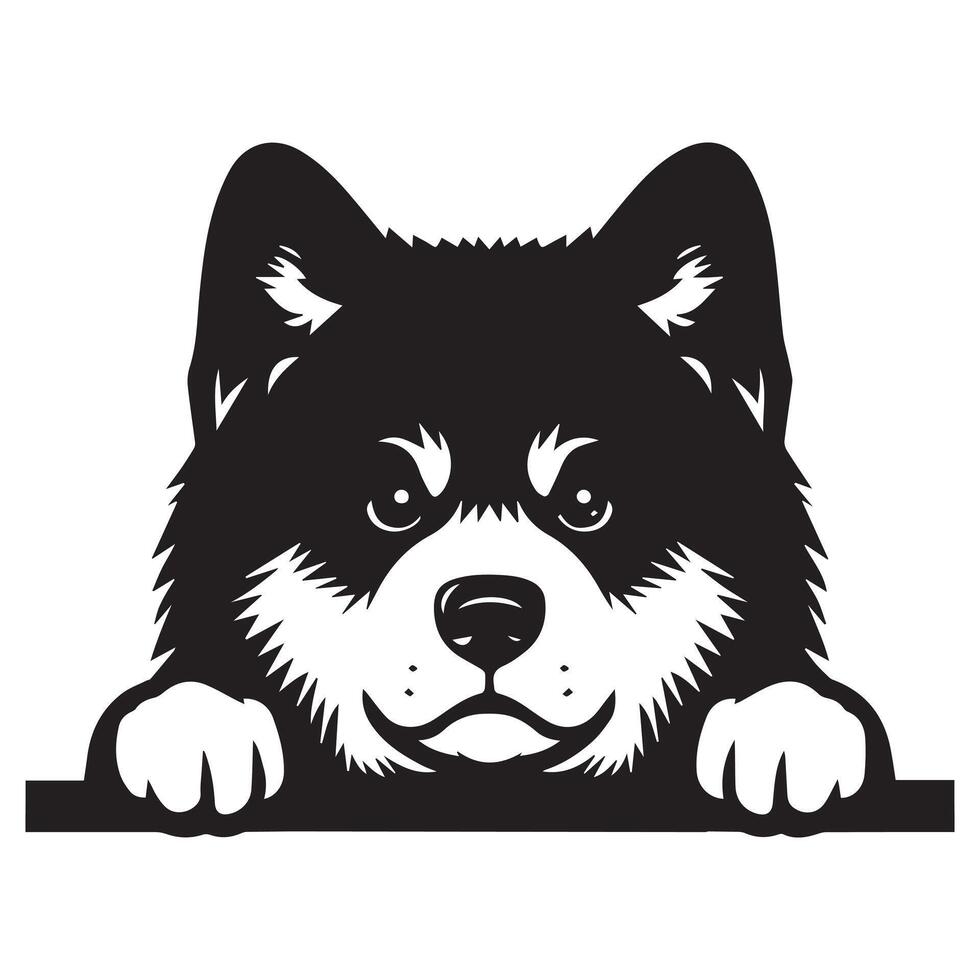 hond gluren - akita hond gluren gezicht illustratie in zwart en wit vector