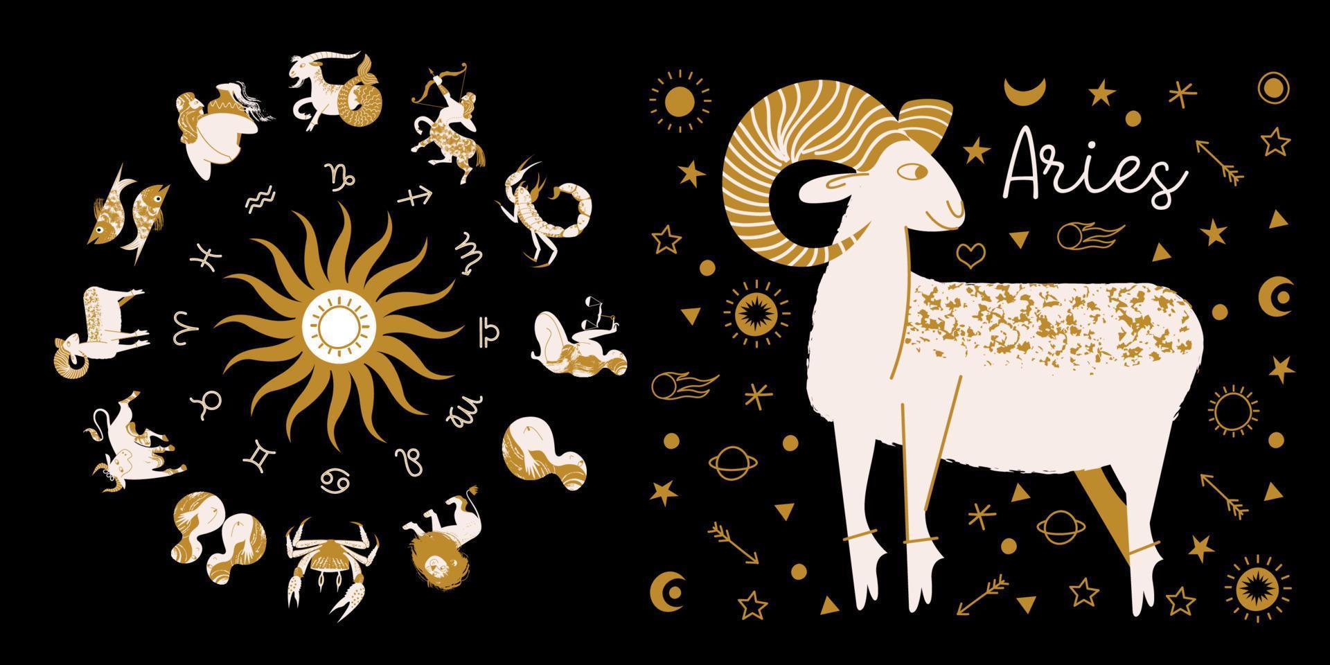 sterrenbeeld Stier. horoscoop en astrologie. volledige horoscoop in de cirkel. horoscoop wiel dierenriem met twaalf tekens vector. vector