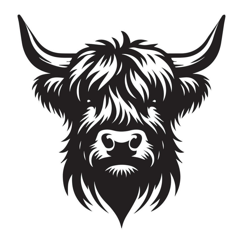 hoogland vee - een vastbesloten hoogland koe gezicht illustratie in zwart en wit vector
