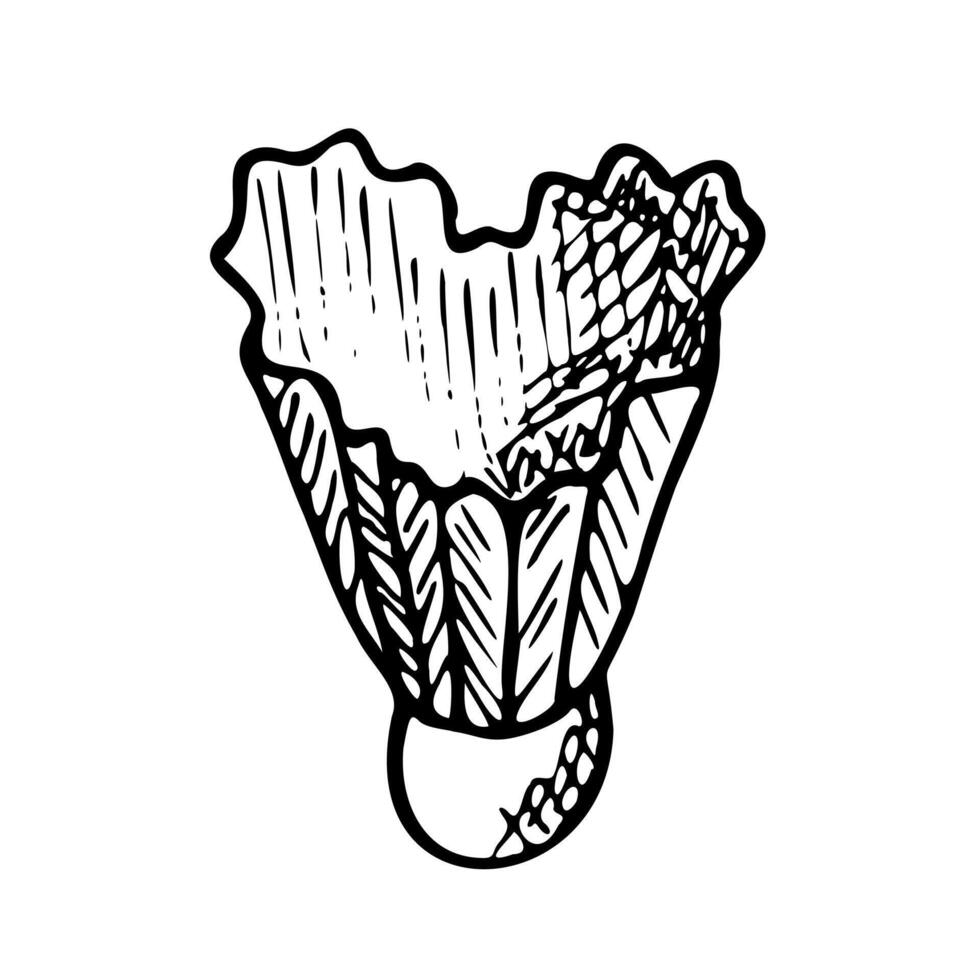 badminton shuttle in vorm van hart, sport- apparatuur. hand- getrokken schetsen geïsoleerd element voor ontwerp vector