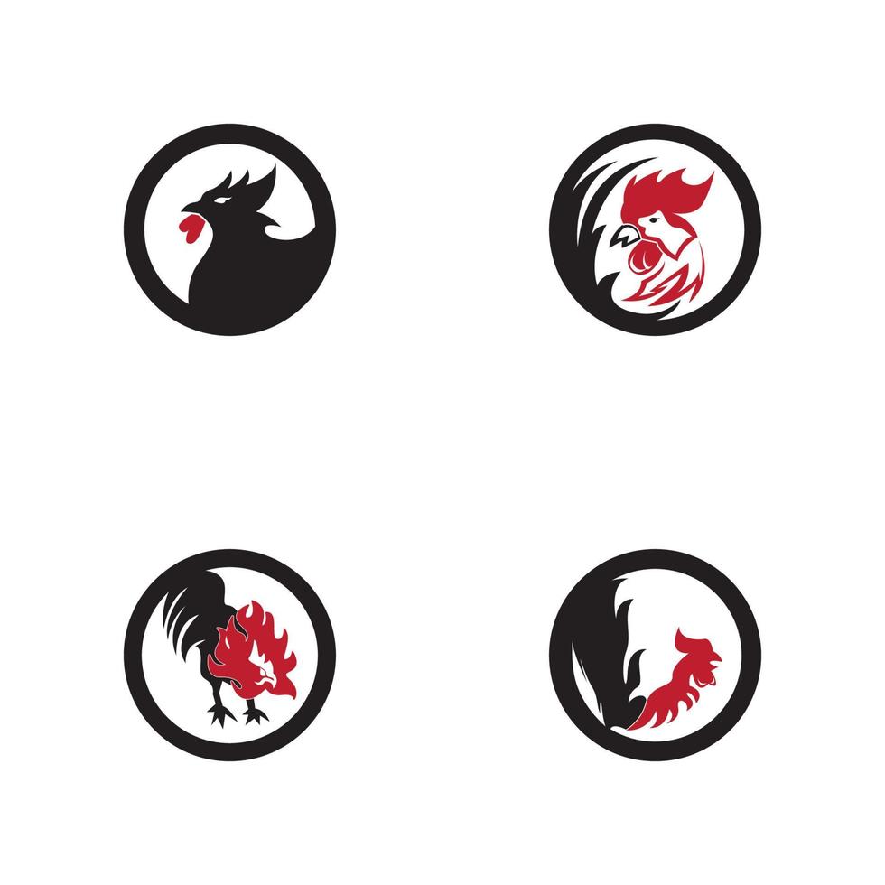 haan pictogram en symbool sjabloon illustratie vector