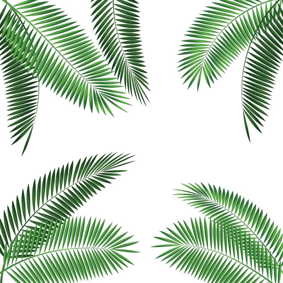 palmblad vectorillustratie vector