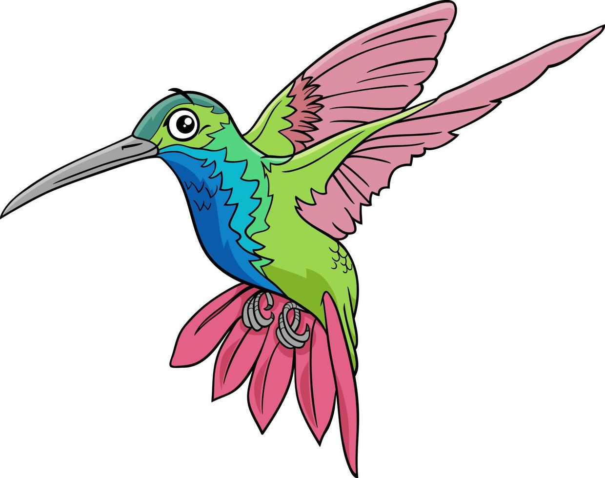 kolibrie vogel dier karakter cartoon afbeelding vector