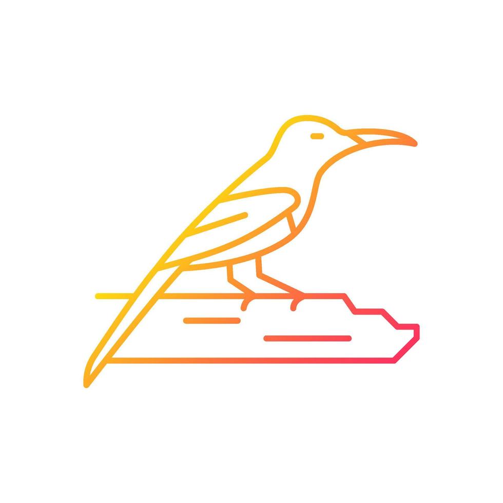 karmozijnrood sunbird gradiënt lineair vectorpictogram. tropische Aziatische vogel. nationaal symbool van singapore. inwonende fokker. dunne lijn kleur symbool. moderne stijlpictogram. vector geïsoleerde overzichtstekening