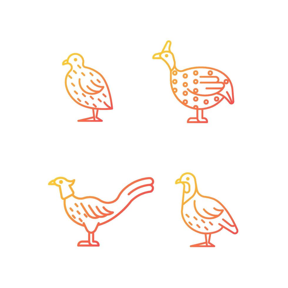 landvogels gradiënt lineaire vector iconen set. Japanse kwartel. fazant familie. parelhoen. commerciële pluimveehouderij. dunne lijn contour symbolen bundel. geïsoleerde overzicht illustraties collectie