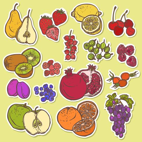 Fruit en bessen schets stickers gekleurd vector