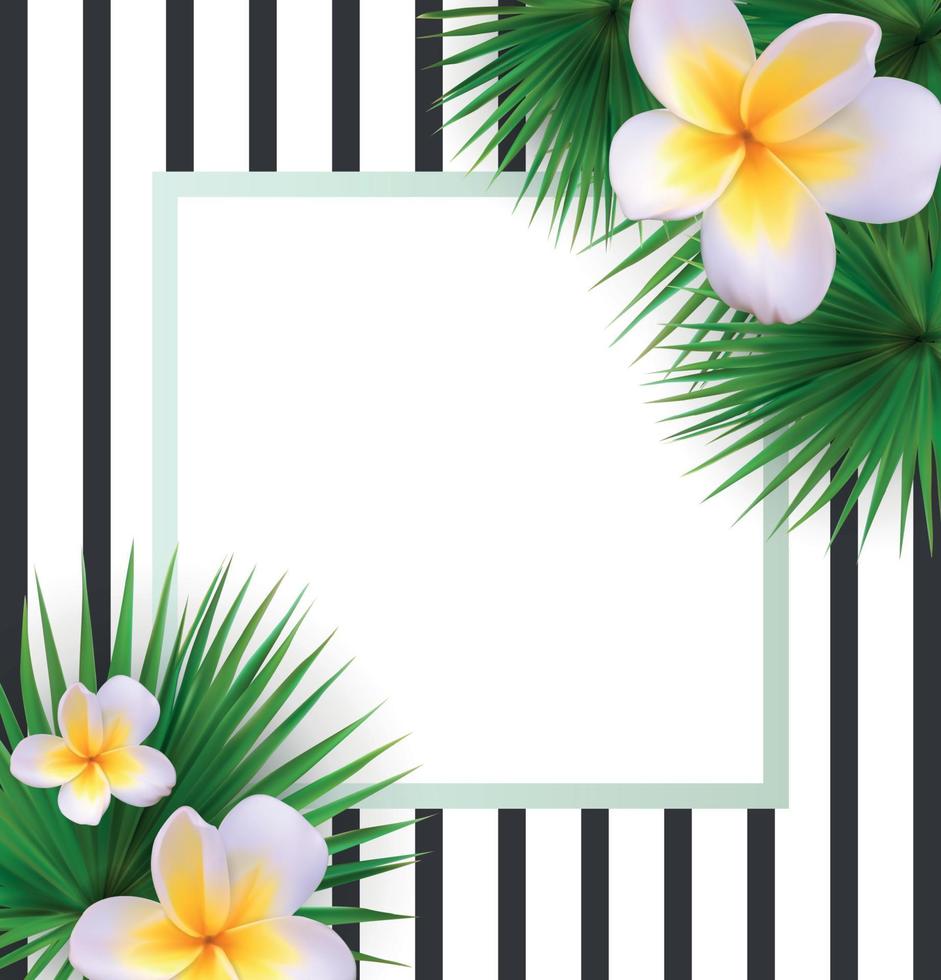 frame met palmblad vector achtergrond vector llustration