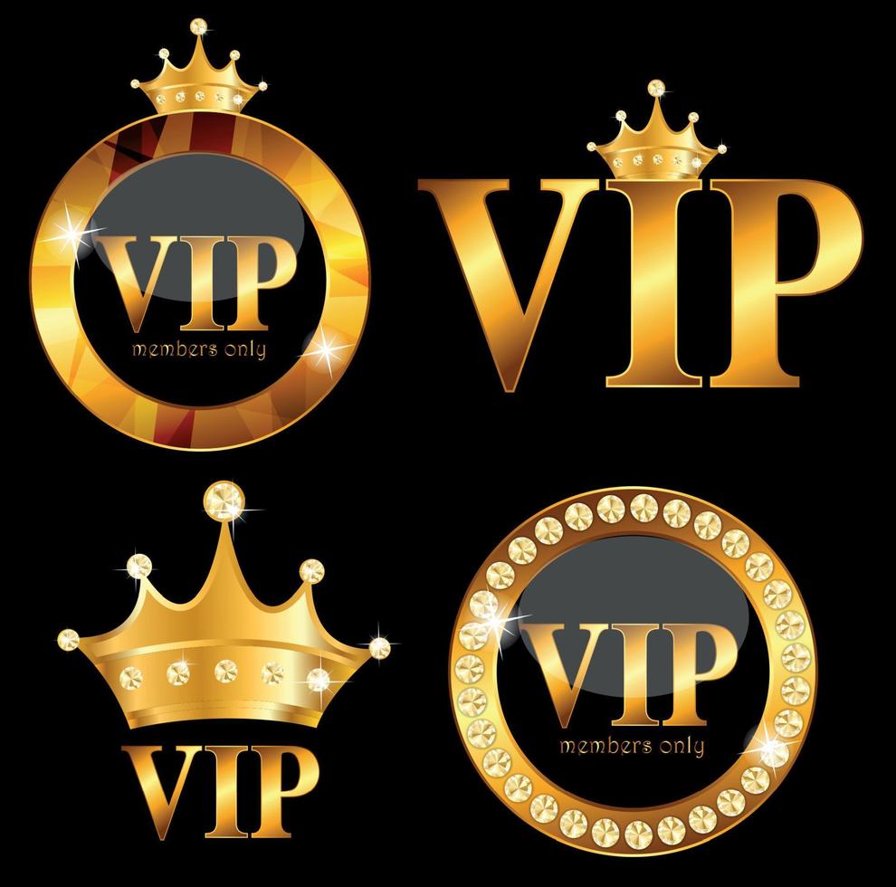 VIP-ledenkaart vectorillustratie vector