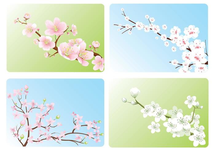 Kersenbloesem wallpaper vector pack