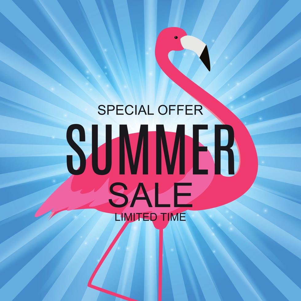 zomer verkoop concept met kleurrijke cartoon roze flamingo achtergrond. vector illustratie