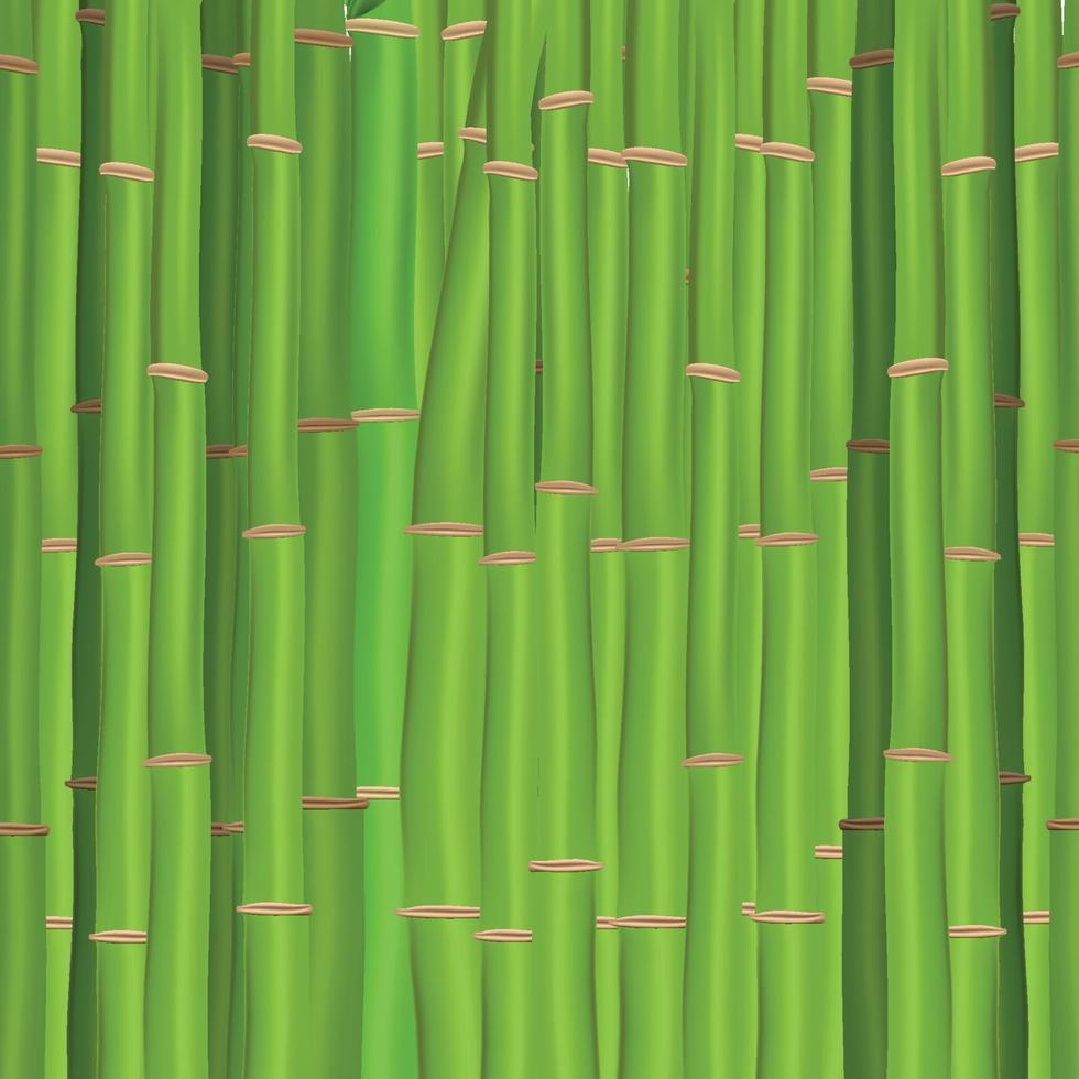 kleurrijke stengels en bamboe bladeren achtergrond. vector illustratie