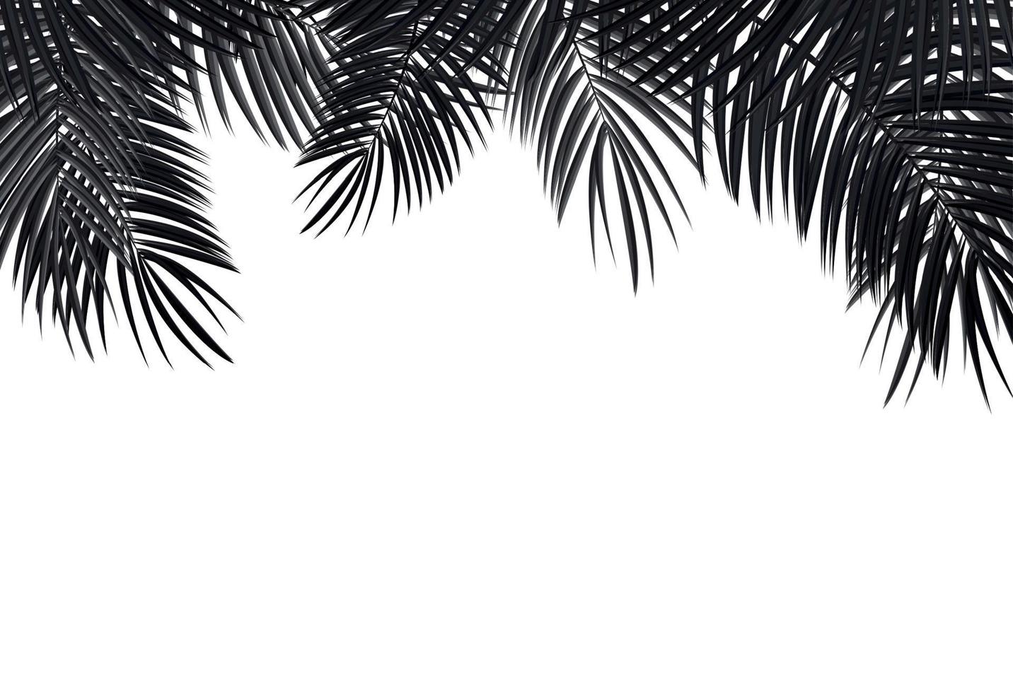 palmblad vector achtergrond afbeelding