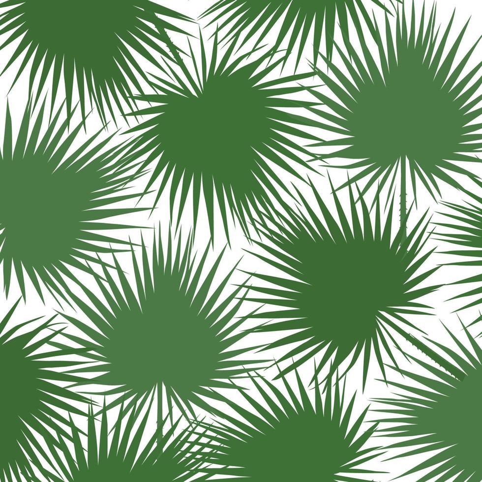 groen silhouet van bladlibistons van Chinese, zuidelijke palm. vector illustratie