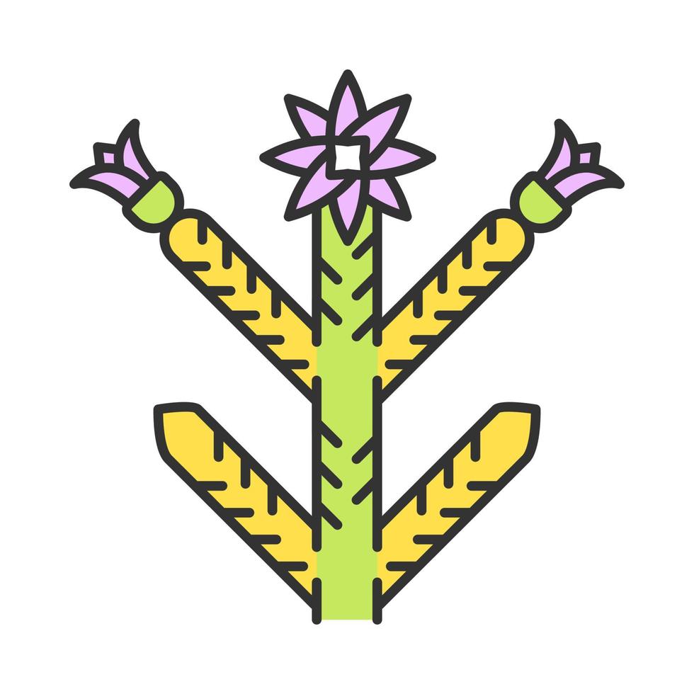 cholla kleur icoon. cilindropuntie. Mexicaanse en Amerikaanse exotische flora. stekelige plant met bloemen. geïsoleerde vectorillustratie vector