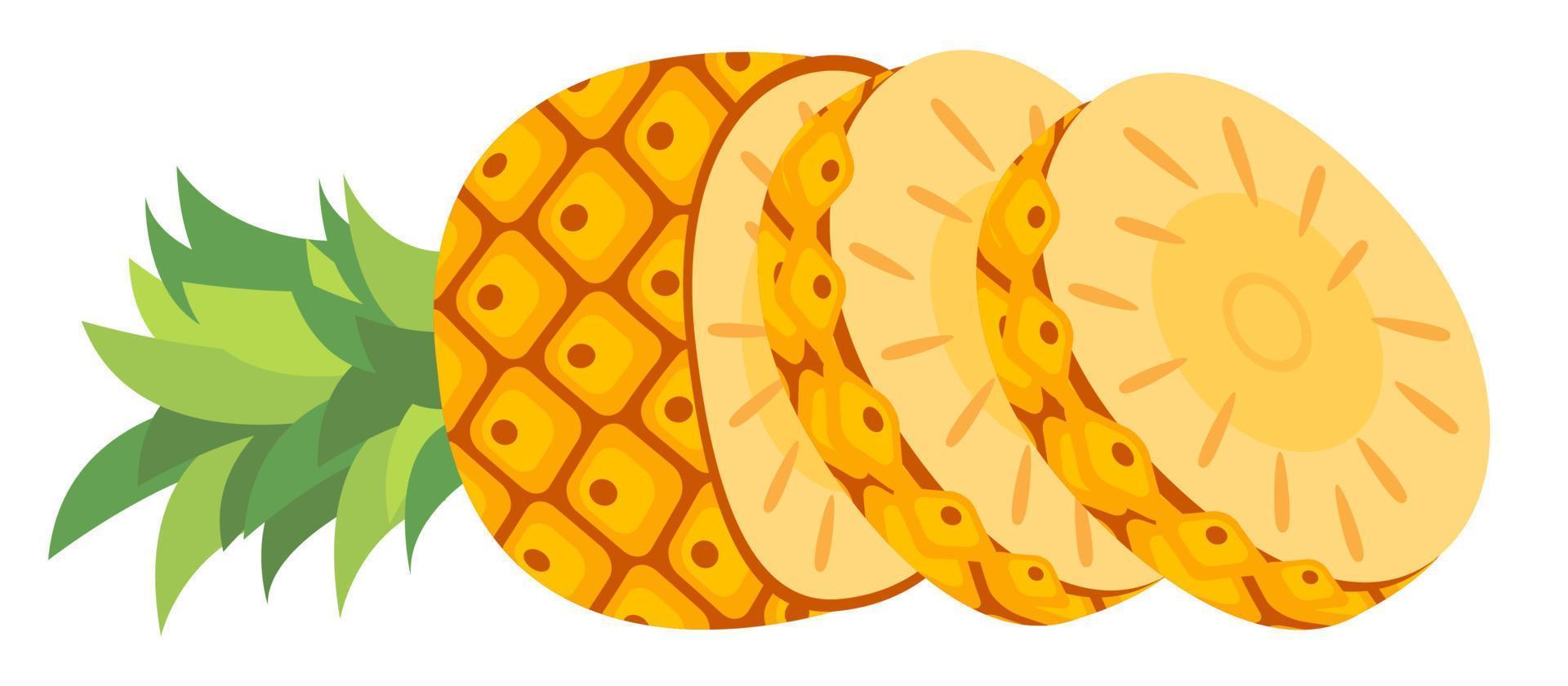 horizontaal gesneden fruitananas vector