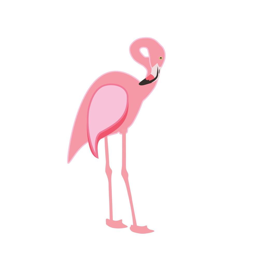 kleurrijke roze flamingo geïsoleerd op een witte achtergrond. vectorillustratie. vector