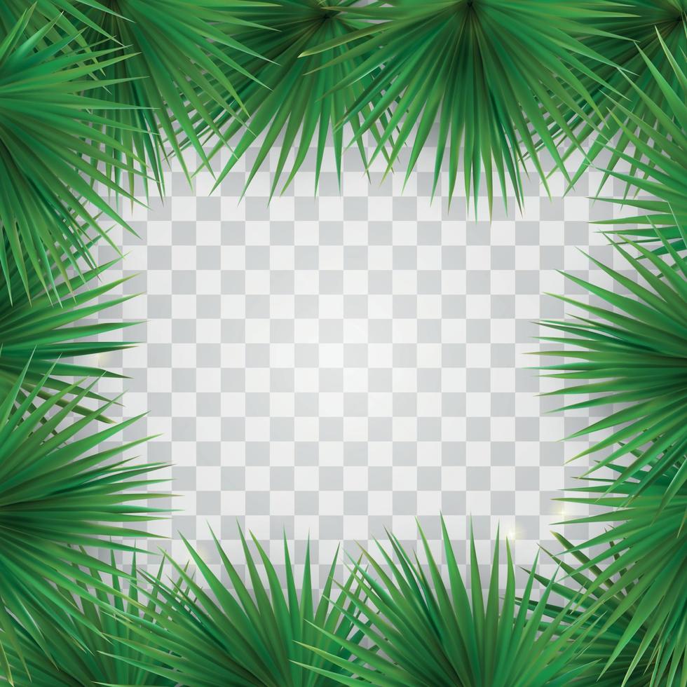 kleurrijk naturalistisch frame van het blad van de libistons van chinese zuidelijke palm. vectorillustratie. vector