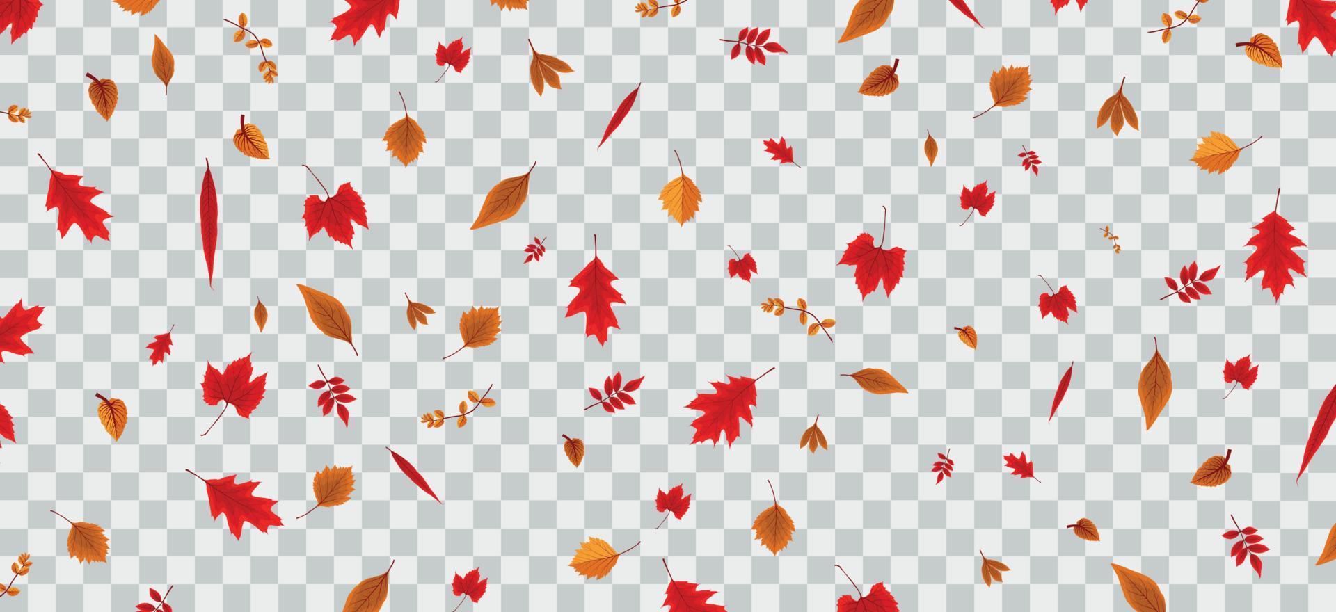 vallende kleurrijke herfstbladeren op transparante achtergrond. vectorillustratie. vector
