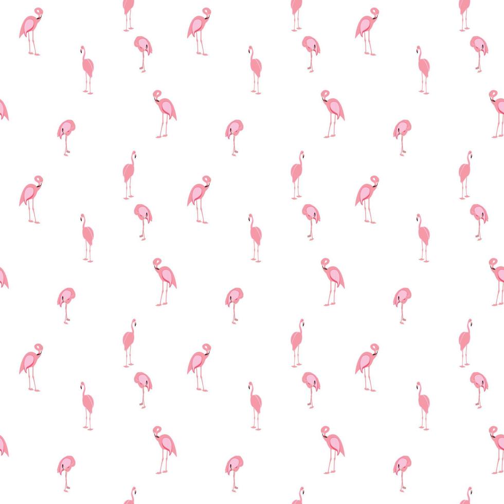 kleurrijke roze flamingo geïsoleerd op een witte achtergrond. naadloos patroon. vectorillustratie. vector