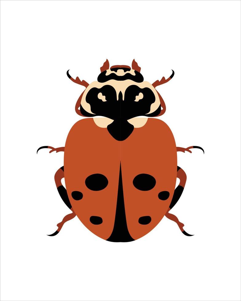 gevlekte amberkleurige lieveheersbeestje. platte vectorillustratie van insecten. insecten en tuinconcept geanimeerd in kleurrijk thema. cartoon afbeelding van de natuur geïsoleerd op een witte achtergrond. vector