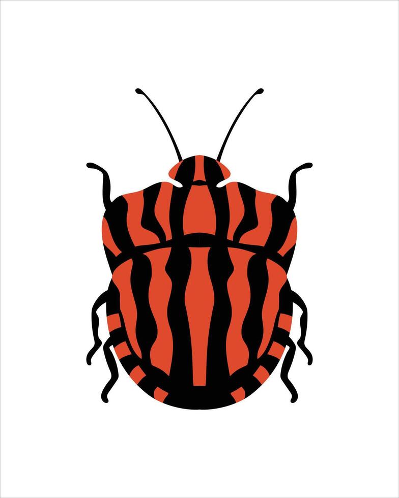 grafosoma italicum. platte vectorillustratie van insecten. insecten en tuinconcept geanimeerd in kleurrijk thema. cartoon afbeelding van de natuur geïsoleerd op een witte achtergrond. vector