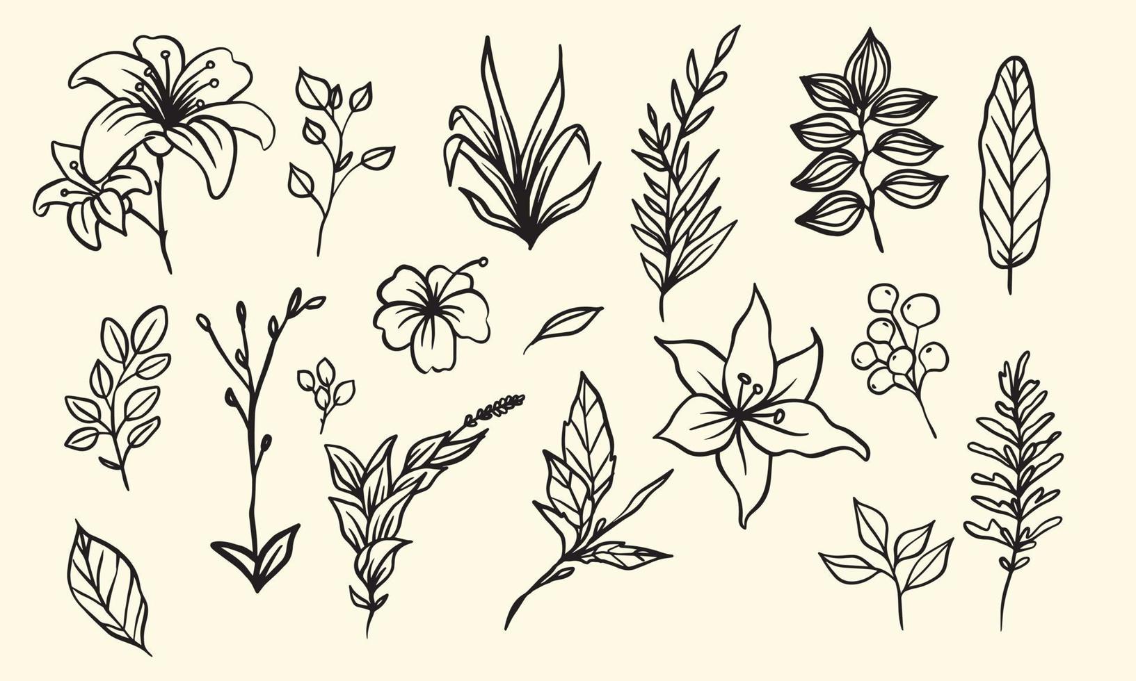plant- en bloemsamenstelling voor decoratieframe, eenvoudige handgetekende bladeren lineart illustratie, bloemen vectorelementen voor romantisch en vintage design vector
