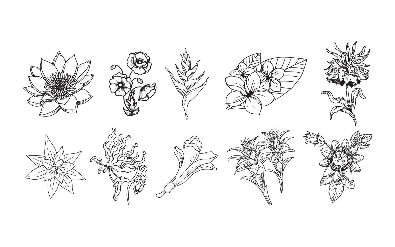 set handgetekende bloemenelementen voor uw ontwerp, blad en bloemenillustratie om romantisch of vintage design te creëren, plant geïsoleerde afbeelding zeer eenvoudig toe te voegen aan uw ontwerpproject vector