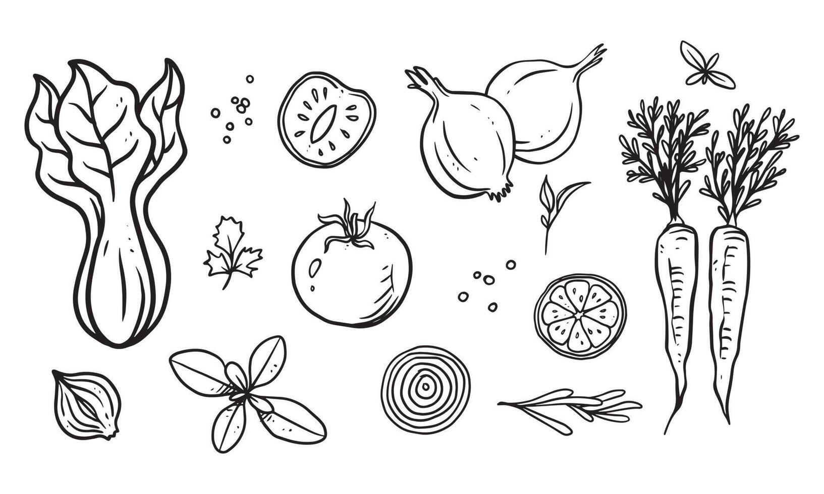 set van groente, fruit en specerijen hand getekende vectorillustratie. gezond voedsel getekend met lijntekeningen voor materiaalontwerp vector