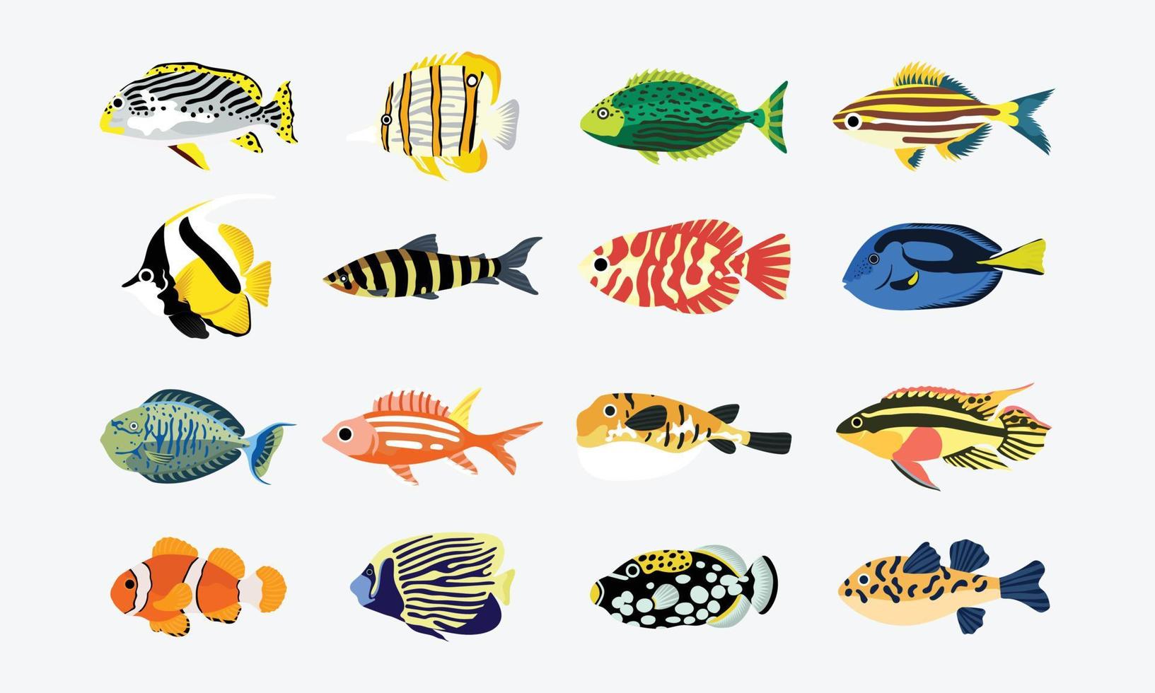 collectie set koraal vissen illustratie. de handtekening van onder het zeeleven. handgetekende vectoranimatie. schattige en mooie vissen van het zeeleven. vector