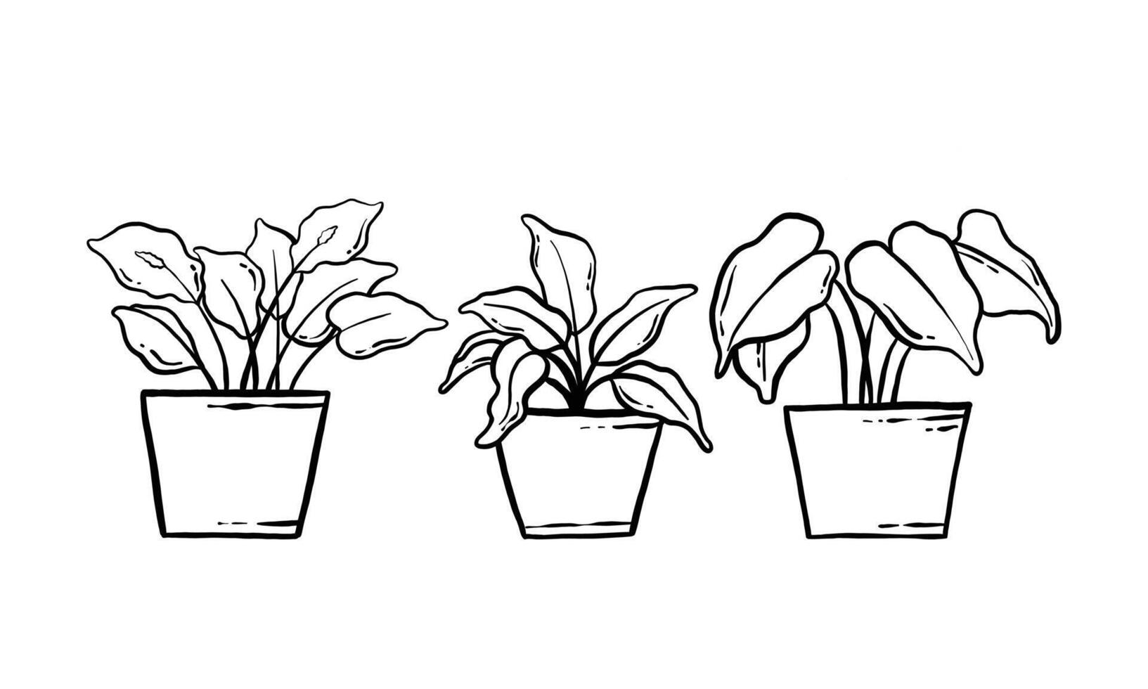 kamerplant hand getekende illustratie. vector lijntekeningen van de ingemaakte huis plant collectie set. bloemen plant geïsoleerd op een witte achtergrond.