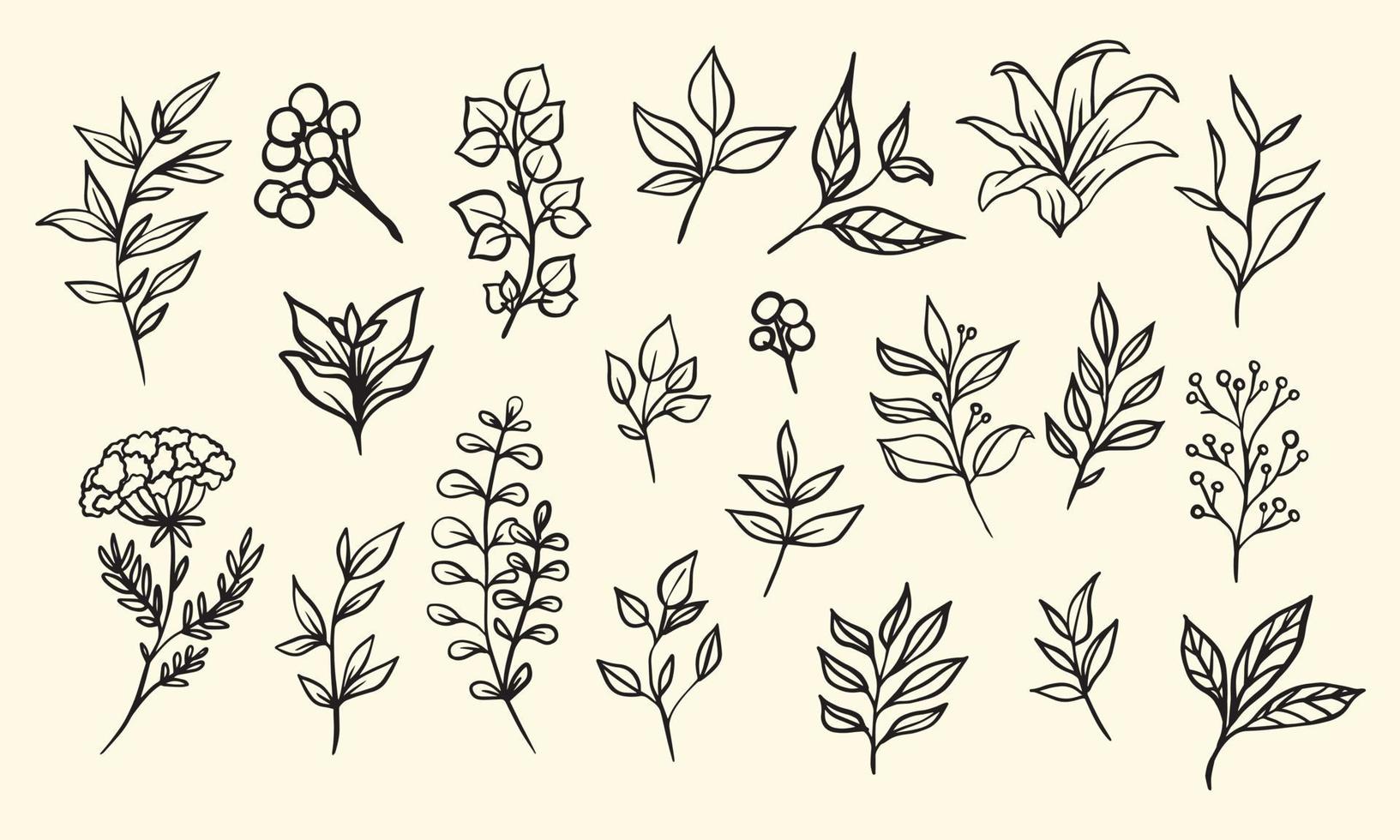 set hand getrokken blad vectorillustratie, bloem lineart geïsoleerde grafische elementen voor uw ontwerp, bloemen lineart voor klassiek design vector