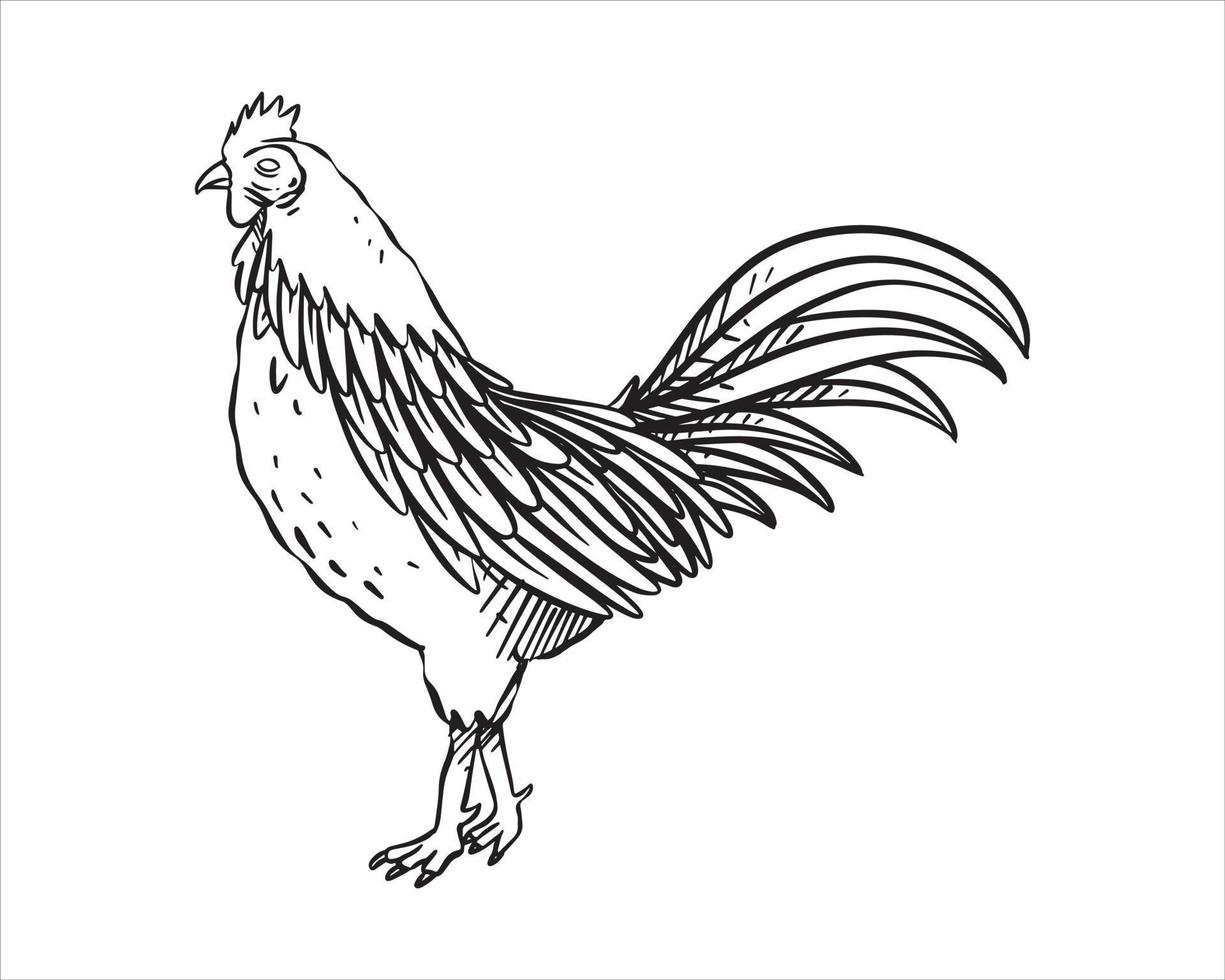 eenvoudige kip hand getekende vector. hand getekende lijn kunst cartoon afbeelding. geïsoleerd op witte achtergrond vector