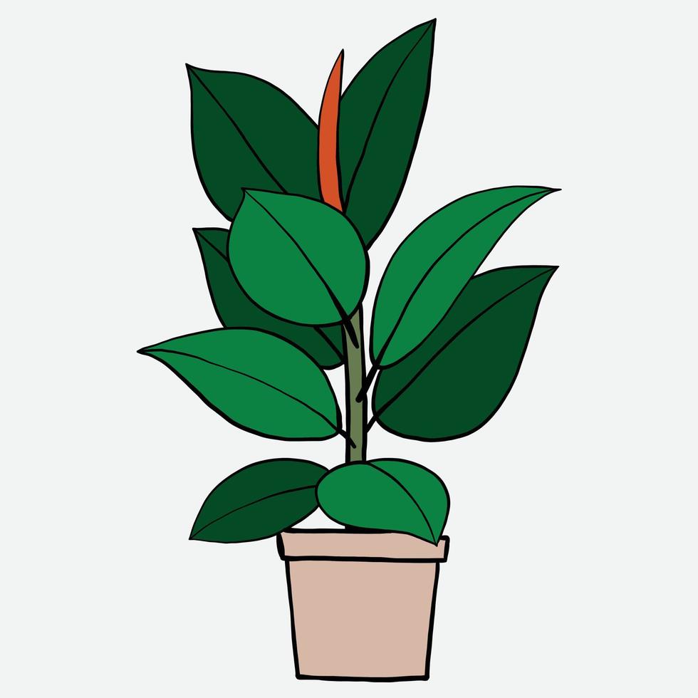 eenvoud rubber vijgenplant uit de vrije hand tekenen plat ontwerp. vector