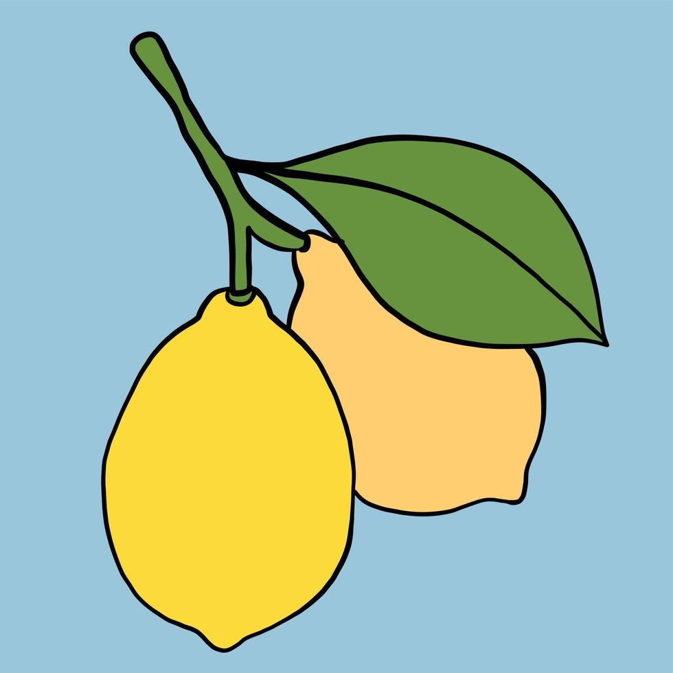 doodle uit de vrije hand schets tekening van citroen fruit. vector