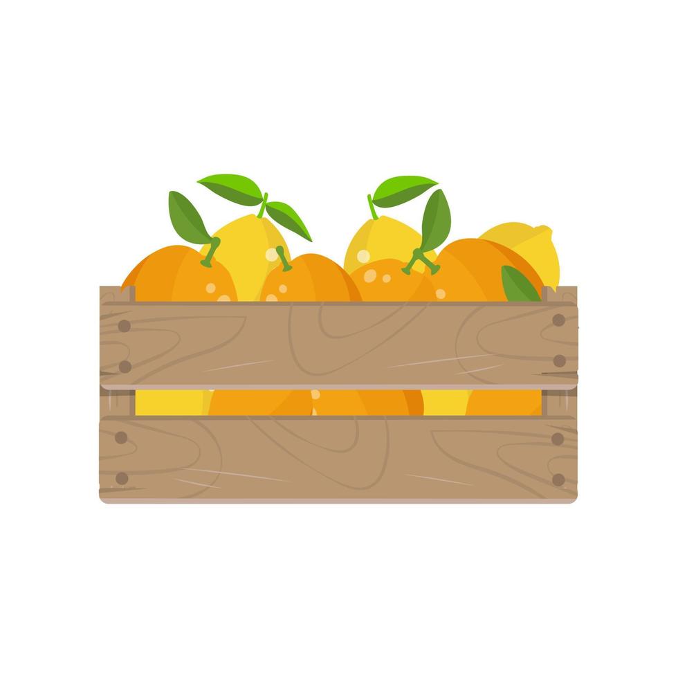 houten kist met citroen en sinaasappel fruit, geïsoleerd op een witte achtergrond. vectorillustratie. vector