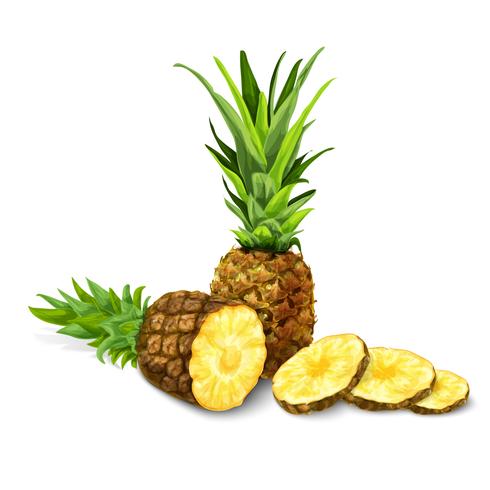 Ananas geïsoleerd poster of embleem vector