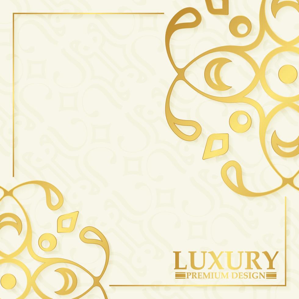 luxe witte ornamentpatroonhoes vector