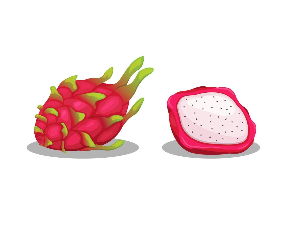 drakenfruit, ook bekend als pitahaya of aardbeipeer, is een levendige rode schil van tropisch fruit en een zoet object ingesteld illustratievector vector