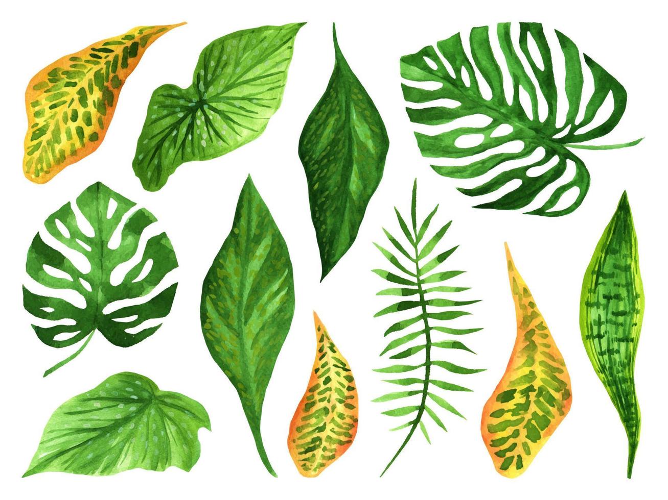 set met aquarel bladeren van tropische planten vector