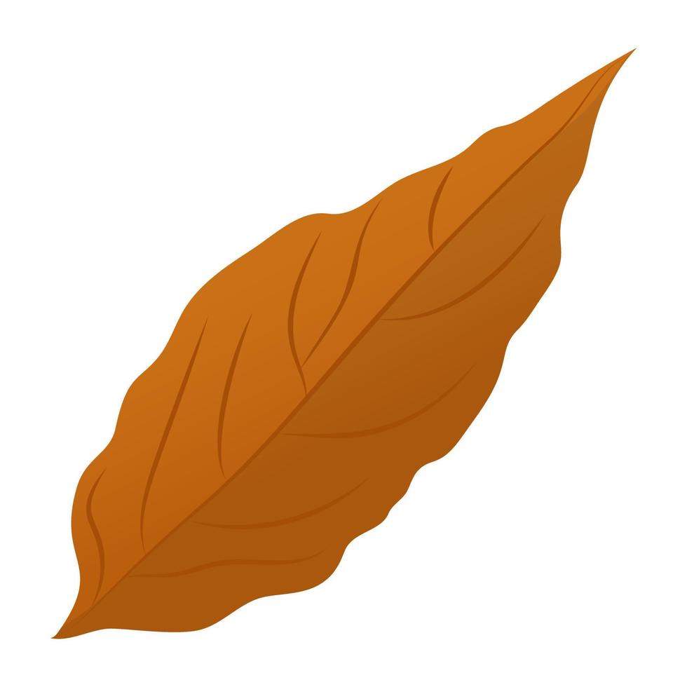 magnolia blad concepten vector