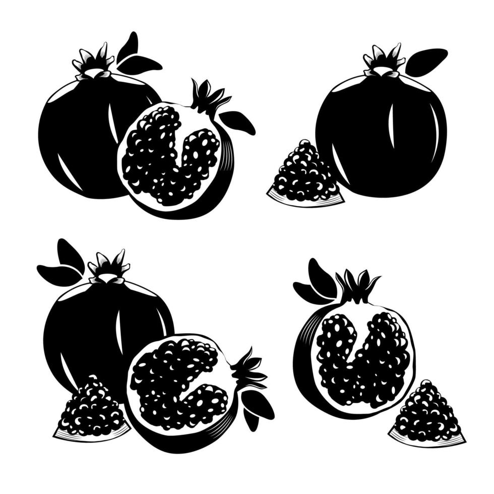 granaatappel fruit met bladeren, stukjes granaatappel vector