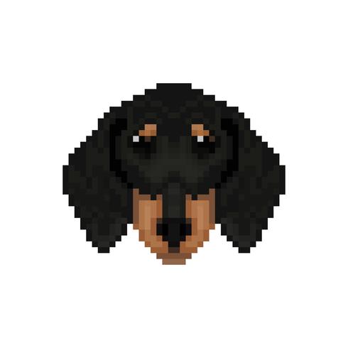 Teckel hondenhoofd in pixelart-stijl. vector